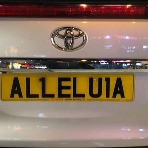 ALLELU1A