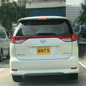 ANTS